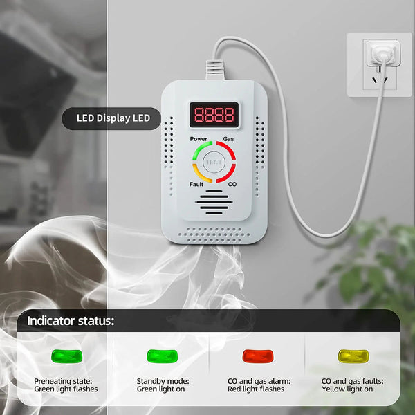 TeadLorel 2-in-1 Natural Gas and Carbon Monoxide Detector with LCD Display