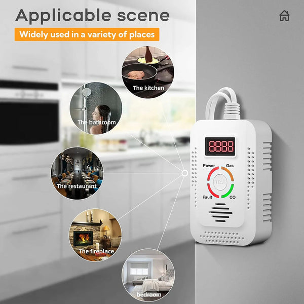 TeadLorel 2-in-1 Natural Gas and Carbon Monoxide Detector with LCD Display