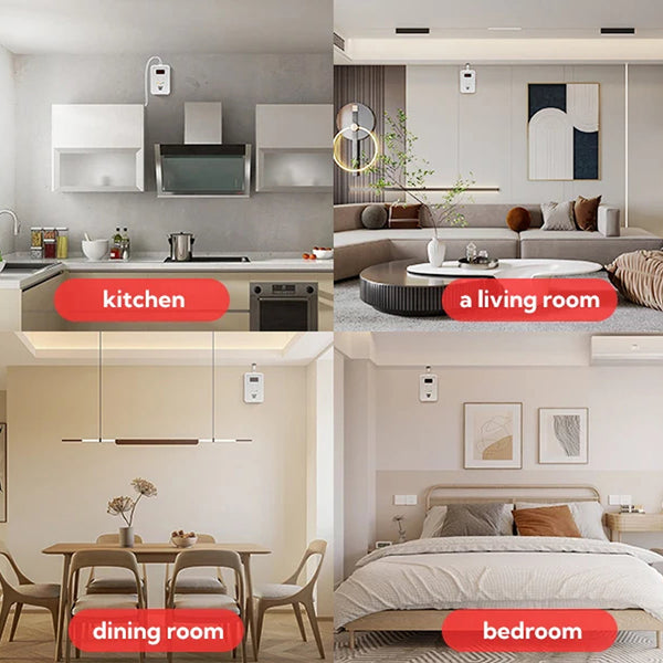 TeadLorel 2-in-1 Natural Gas and Carbon Monoxide Detector with LCD Display