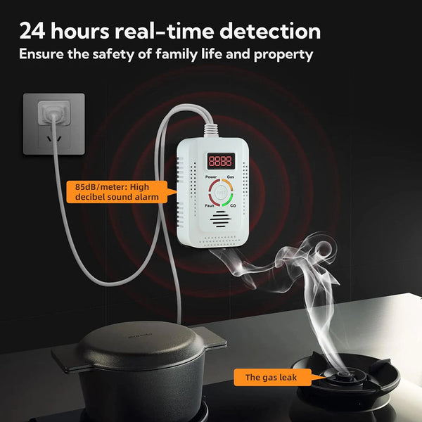 TeadLorel 2-in-1 Natural Gas and Carbon Monoxide Detector with LCD Display